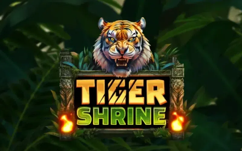 Descubra os mistérios e as relíquias sagradas no Tiger Shrine da Bet365.