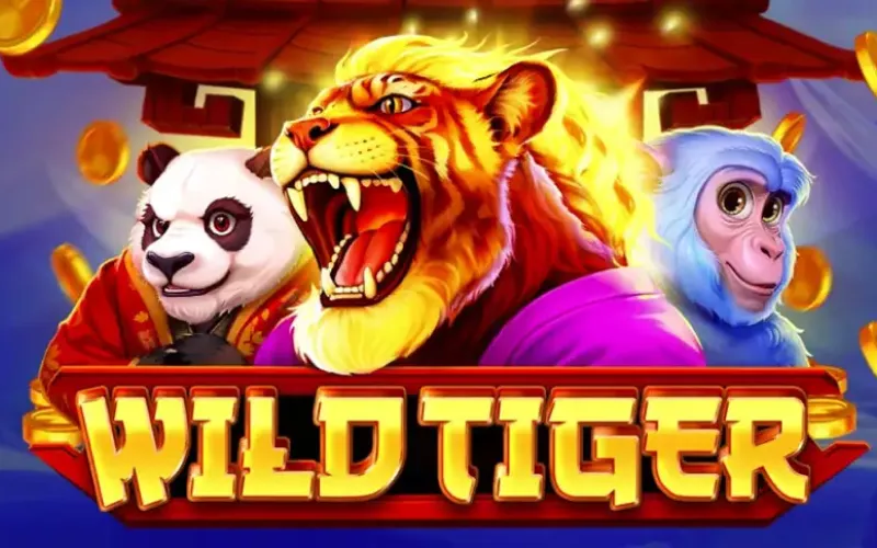 Encontre símbolos selvagens e grandes retornos no Wild Tiger da Bet365.